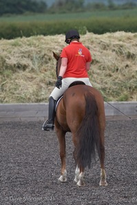 ISIS Dressage Challenge 2008